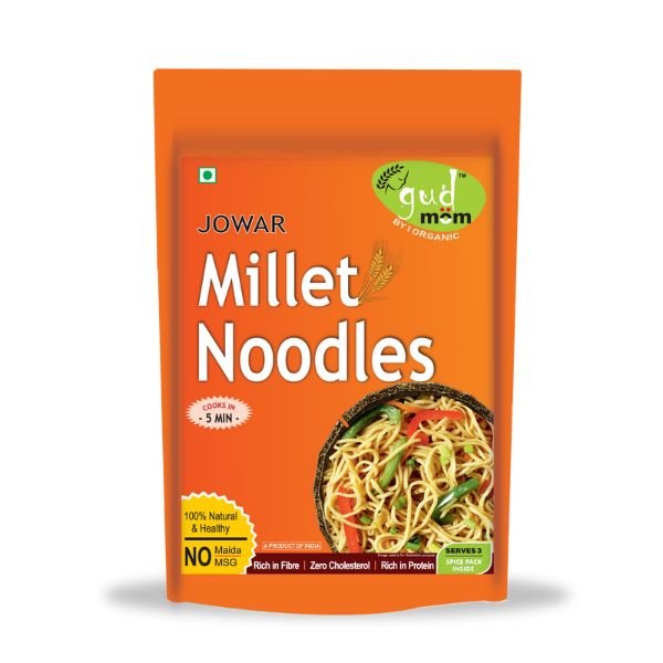Sorgum Millet (Jowar) Noodles 180 gm-front-Gudmom