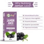 Jamun Juice 500ml6-nutriorg