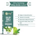 Giloy with Amla Juice -nutriorg