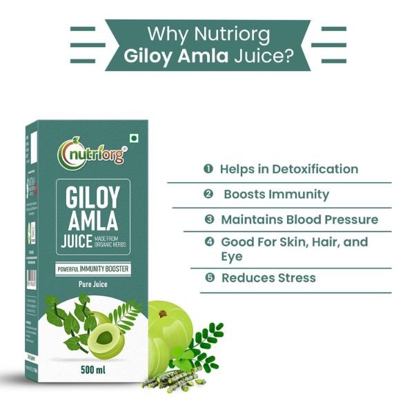 Nutriorg Giloy with Amla Juice 500 ml2