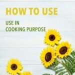 Certified Organic Sunflower Oil 1000ml-how to use-Nutriorg