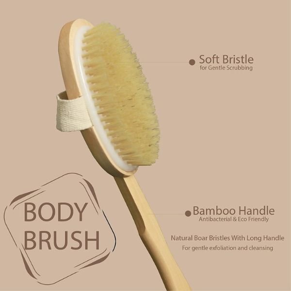 2-in-1Dry Skin Body Brush with 14 inch Removable Wood Handle2-2-Organic B’