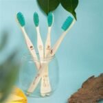 Neem Wood Toothbrush (Adult) (Pack Of 4) -front1-Organic B