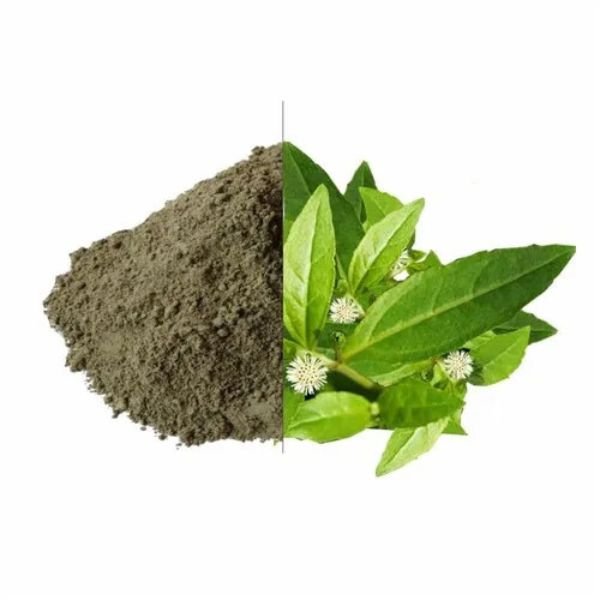Bhringraj Powder-1-Nisarg Organic