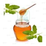 Raw Tulsi Honey-front-Nisarg Organic