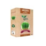 Wheat Grass Powder 100 gm-nisarg naturals