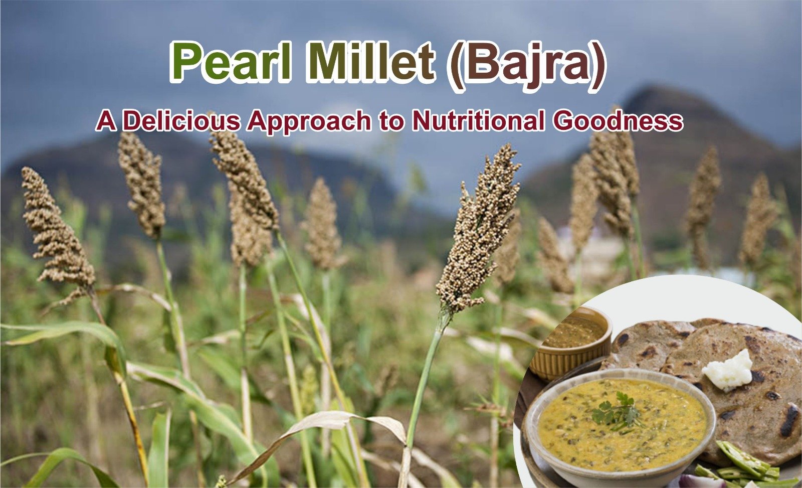 Organic Orion-Pearl Millet - Bajra