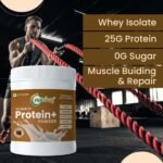 Protein Plus Powder 400g (Chocolate Flavor)-nutriorg