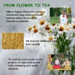 Chamomile Tea 50 gm-benefits3-Hillpure organic