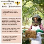 Forest Honey 500 gm-3-Hillpure organic