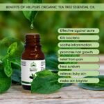 Tea Tree Essential Oil 10 ml-1-Hillpure organic