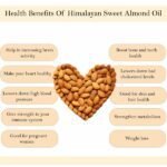 Sweet Almond Oil 65 ml-benefits1-Hillpure organic