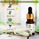 Lemongrass Essential Oil 10 ml (With Dropper)-1-hillpure organic