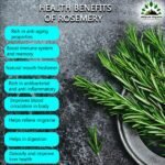 Rosemary Essential Oil 10 ml-benefits-hillpure organic