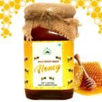 Forest Honey 500 gm front-hillpure organic