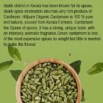 Green Cardamom 70 gm-4-hillpure organic