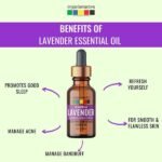 Bulgarian Lavender Essential Oil -benefits-Organix Mantra