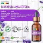 Bulgarian Lavender Essential Oil -1-Organix Mantra