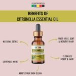 Citronella Essential Oil-benefits-Organix Mantra