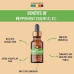 Indian Peppermint Essential Oil -benefits-Organix Mantra