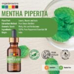 Indian Peppermint Essential Oil -2-Organix Mantra