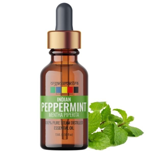 Indian Peppermint Essential Oil -front-Organix Mantra