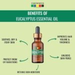 Nilgiri Eucalyptus Essential Oil -benefits-Organix Mantra