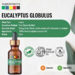 Nilgiri Eucalyptus Essential Oil -3-Organix Mantra