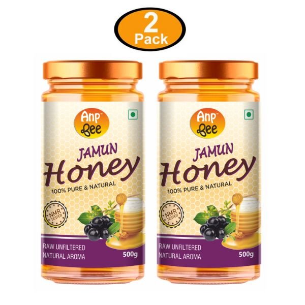 Organic Jamun Honey (Pack of 2) 500 gm front-Nisarg natural