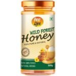 Organic Wild Forest Honey 500 gm-front-ANP-Bee