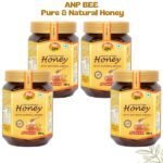 Organic Natural Honey (Pack of 4) 500 gm-2-ANP-Bee