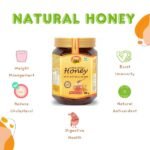 Organic Natural Honey (Pack of 4) 500 gm-1-ANP-Bee