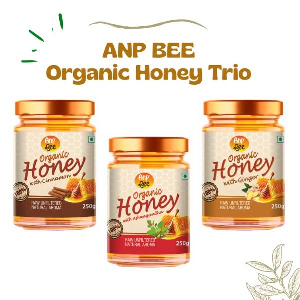 Organic Ginger, Cinnamon & Ashwagandha Honey (Trio Pack) 250 gm front-ANP-Bee