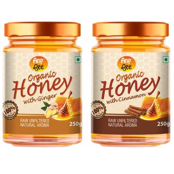 Organic Ginger & Cinnamon Honey (Combo Pack) 250 gm front-ANP-Bee