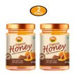 Organic Orion-ANP Bee Organic Honey with Cinnamon (Pack of 2) 250 gm-front