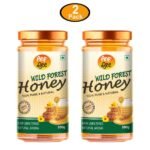 Organic Wild Forest Honey (Pack of 2) 500 gm-front1-ANP-Bee