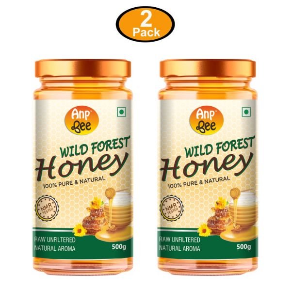 Organic Wild Forest Honey (Pack of 2) 500 gm-front1-ANP-Bee