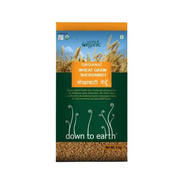 wheat grain shekhawati-front-Down to earth
