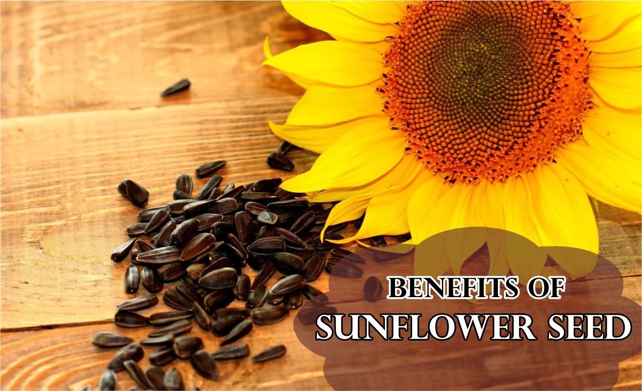 Health Benefit Of sunflower Seeds