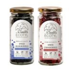 Dried Blueberres & Dried Cranberries Combo-front-Ecotyl