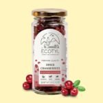 Dried Cranberries 150 gm-front-Ecotyl