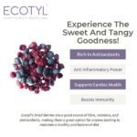 Dried Blueberres & Dried Cranberries Combo-benefits-Ecotyl