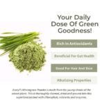 Wheatgrass Powder 100 gm-benefits-Ecotyl