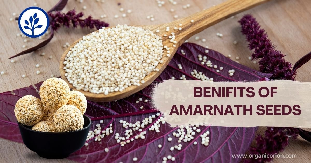 Benefits Of Amarnath Seeds