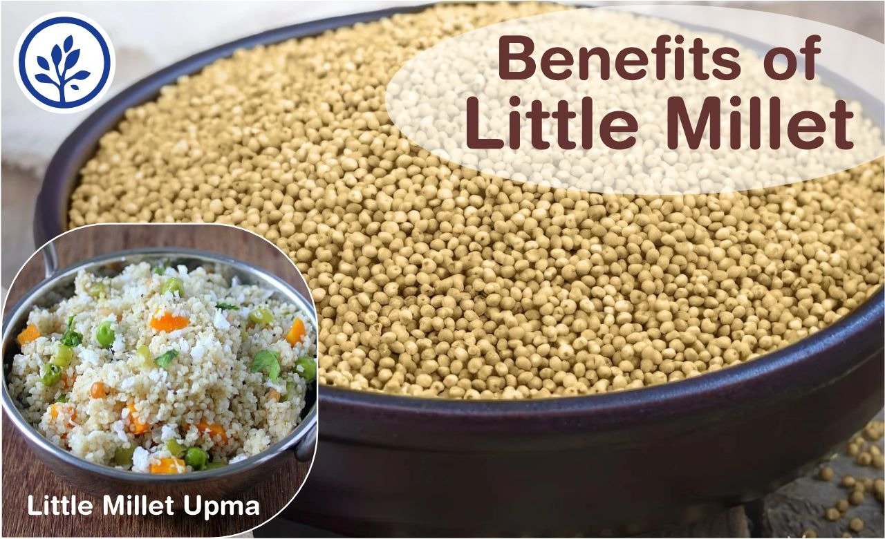 Benefits of little millet