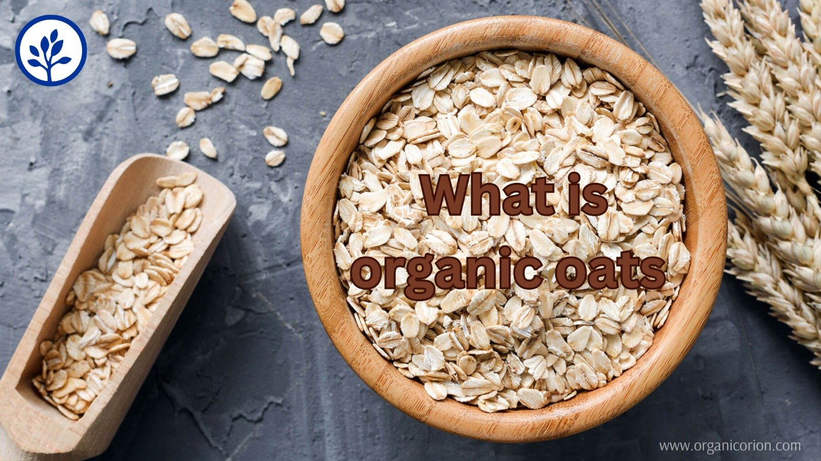 Organic Oats Health Benefits