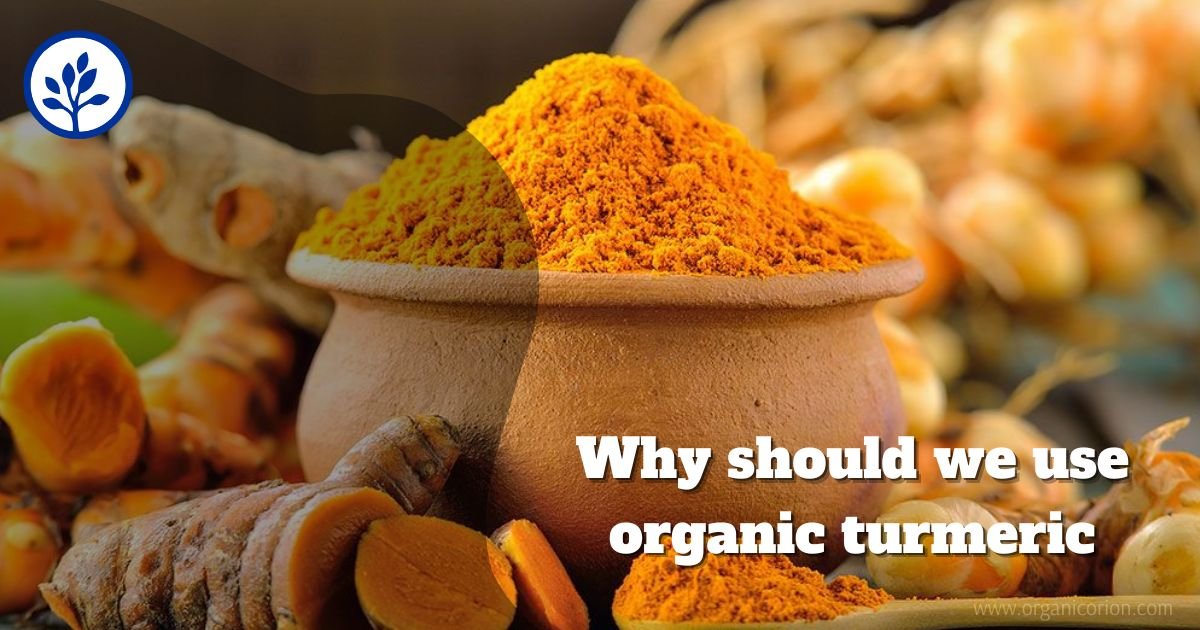 Why should we use Organic Turmeric ?